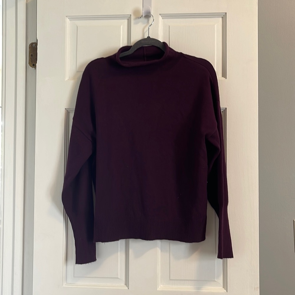 Express mock neck sweater-plum